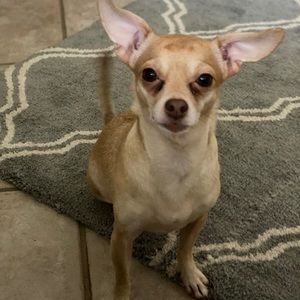 Meet your Posher, Nina-marie